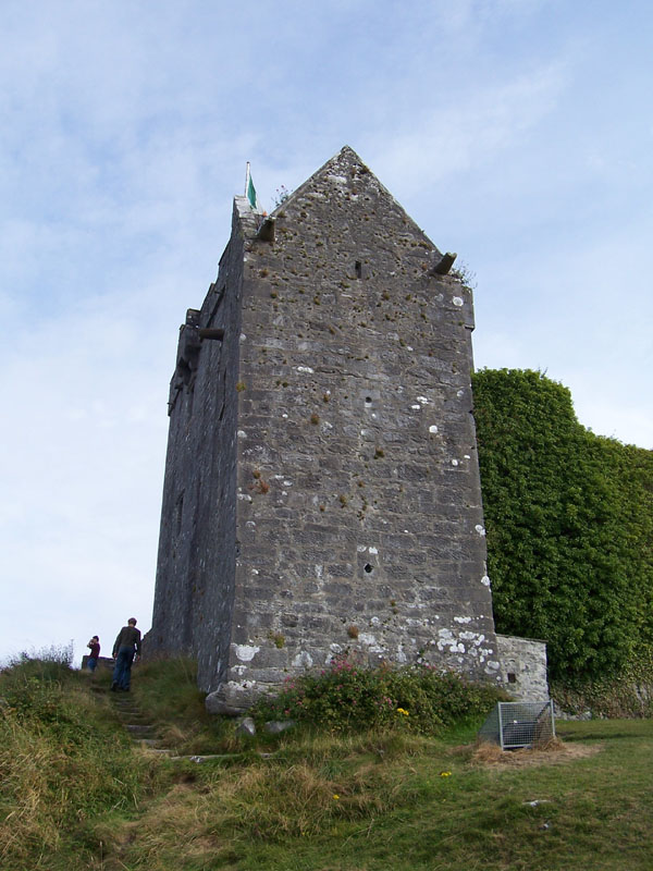 IRL2005_0958DunguaireCastle